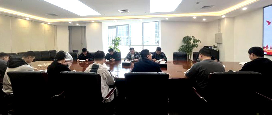 【2025】02-17 党支部反腐倡廉主题党日会议活动-1